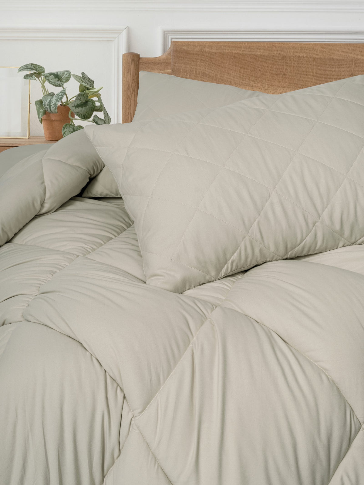 Cotton Box Softwash Tek Kişilik Yorgan Seti Taş