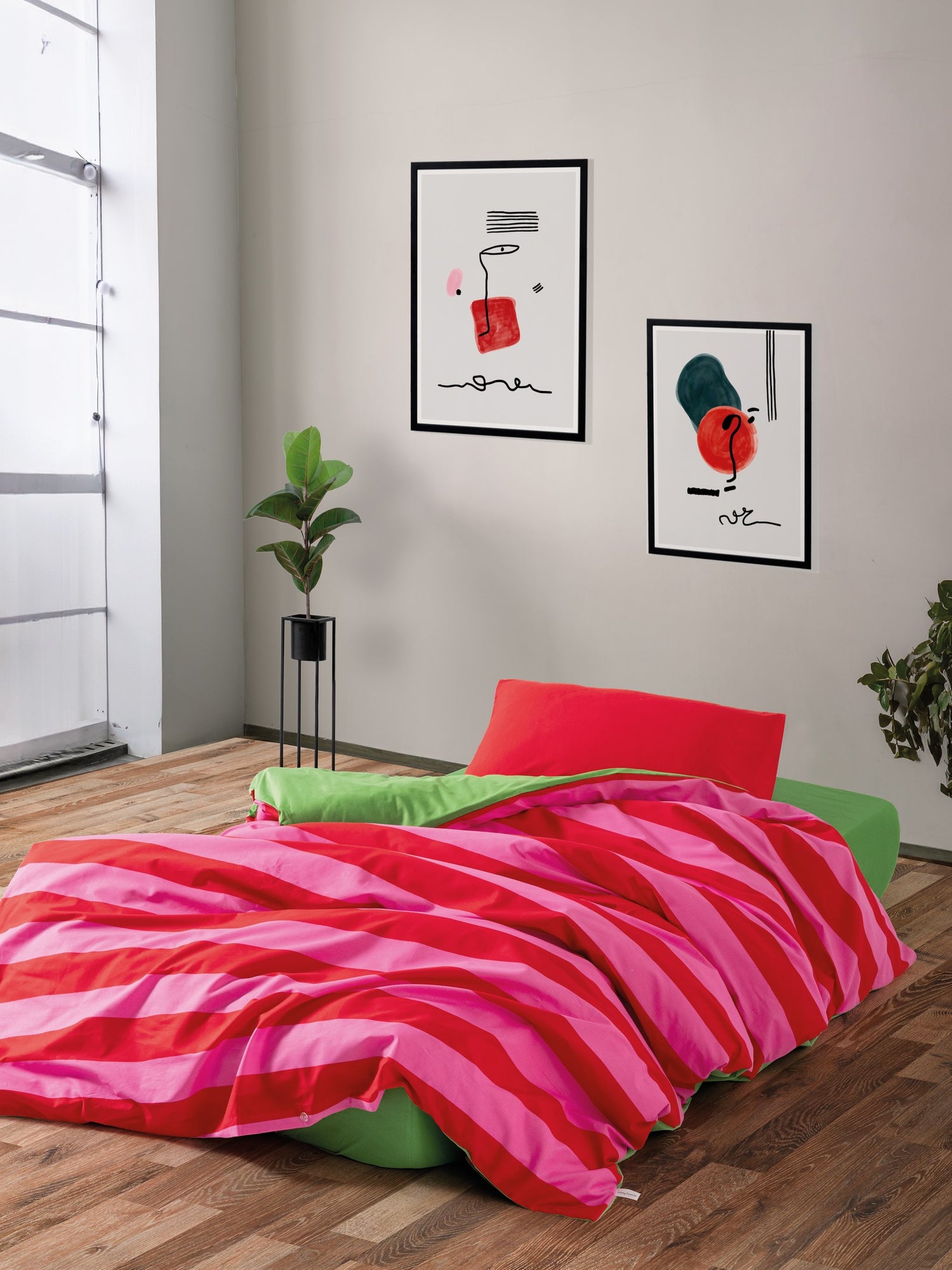 Cozy Home Popping Colors Single Duvet Cover Set with Elastic Sheets Cherie Green